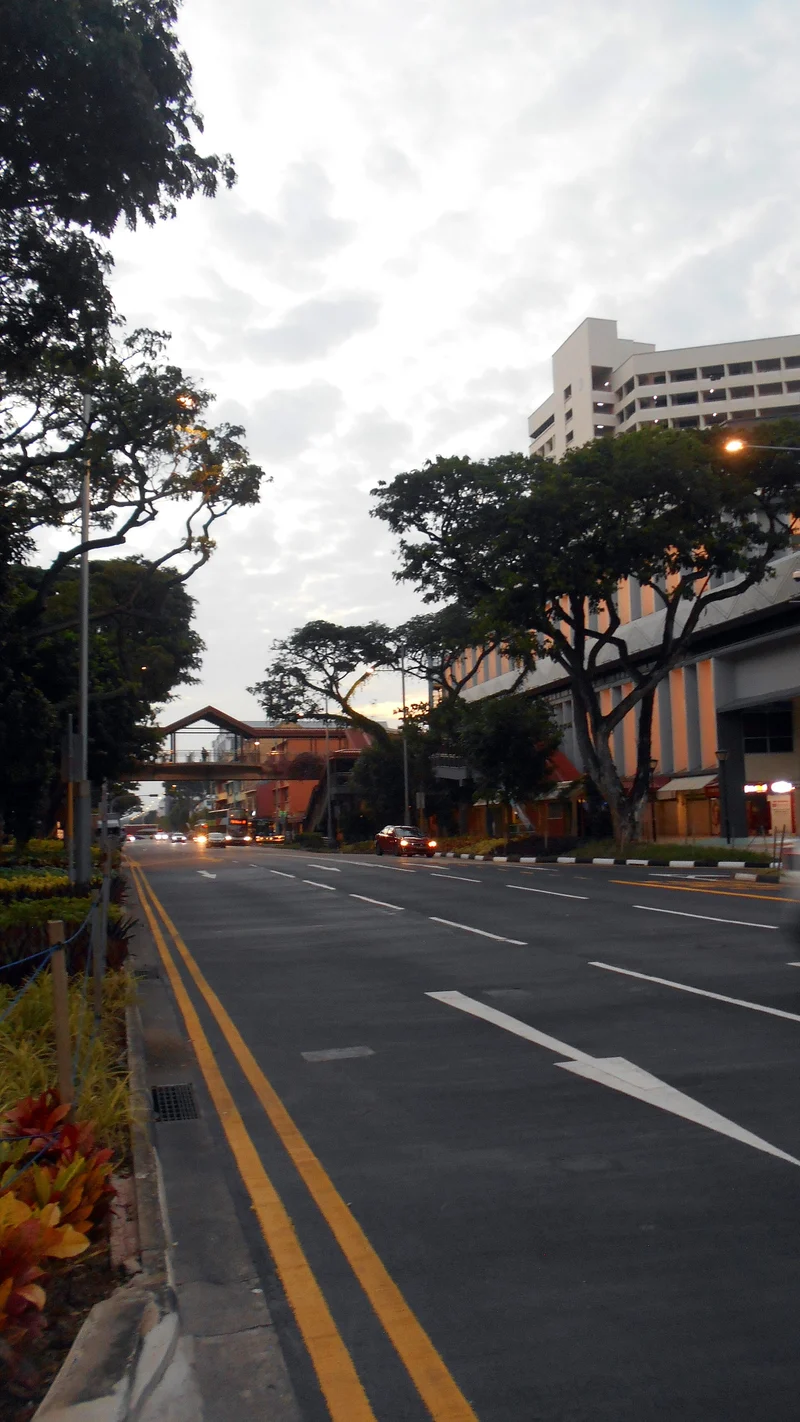 芽笼一带樟宜路的街道与沿街建筑